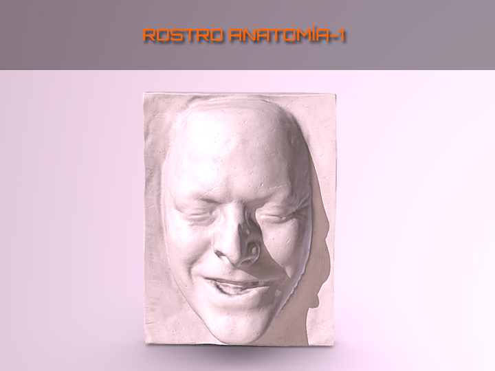 Rostro anatomía 1, escultura modelo de la asignatura Anatomía y Morfología,  grado en Bellas Artes 