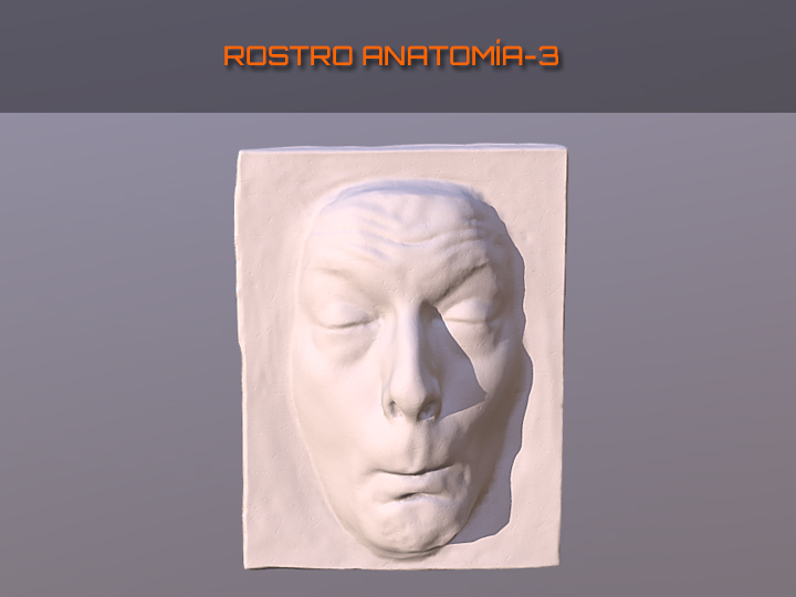 Rostro anatomía 3, escultura modelo de la asignatura Anatomía y Morfología,  grado en Bellas Artes 